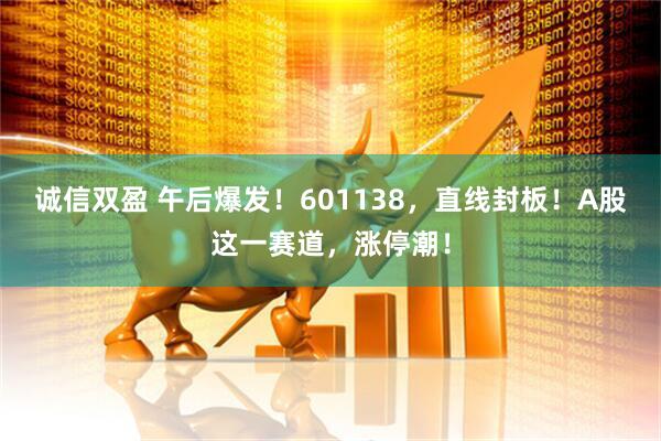 诚信双盈 午后爆发！601138，直线封板！A股这一赛道，涨停潮！
