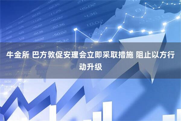 牛金所 巴方敦促安理会立即采取措施 阻止以方行动升级