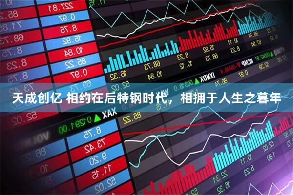 天成创亿 相约在后特钢时代，相拥于人生之暮年