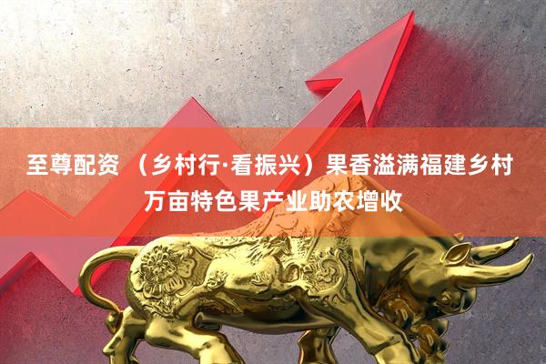 至尊配资 （乡村行·看振兴）果香溢满福建乡村 万亩特色果产业助农增收